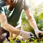 När och varför du bör anlita trädgårdshjälp