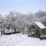 Vinterträdgårdens skönhet – Mer än bara en kall oas